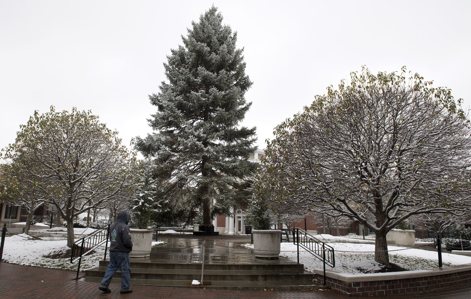 SouthPointe Christmas Tree
